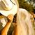 Mary Ann Barker's profile image