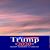 Sharon Lindsay's profile image