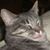 Beck Stevenson's profile image