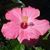 Candy Hall's profile image