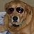 Harold Warren's profile image