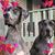 Brenda Holderman Bloszinsky's profile image