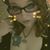 Anna Cook's profile image
