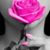 Cindy Ezell's profile image