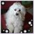 Jan Bales Helms's profile image