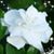 Claudia Ochoa's profile image