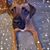 Kim Palmer Harne's profile image
