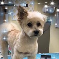 Terri Hendricks Dawson's profile image