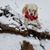 Kimberly Neal's profile image