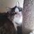 Mary J. Thorsen's profile image