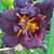 Lindy Whyte's profile image
