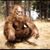 Stephen M Brown's profile image