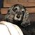 Sue Baldwin-Way's profile image