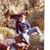 Jim Smith's profile image