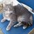 Valerie Sue Merritt's profile image