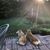 Mark Snell-Cook's profile image