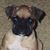 Wayne Shepardson's profile image