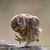 Pamela A. Unger's profile image