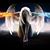 Tarin Mobley's profile image