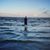 Jonathan Andrew Hall's profile image