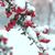 MaryAnn Castrilli Marshall's profile image