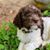 Priscilla Revelle-Fuesting's profile image