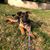 Debra Watts's profile image