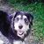Susan Bickford's profile image
