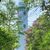 Linda Ridge Gocha's profile image
