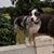 Darlene Godfrey Straub's profile image