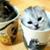 Teresa Brown's profile image