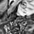 Kylee Hall's profile image