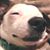 Jess Stratton's profile image
