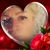 Rose Burrgess's profile image