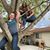 Sabrina Beus's profile image