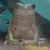 Jamie Schmalimg's profile image