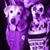Cynthia Drury's profile image