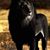Tamesha Saunders's profile image