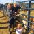 Maria Sarantis Carter's profile image