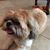 Pat McAtee Gasca's profile image
