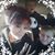Aliece McHugh Drake's profile image