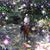 Dee Langus's profile image