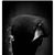 Lacey Meyerhoff's profile image