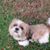Emily S Hammock's profile image