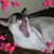 Blanka Allgood's profile image