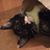 Rosalind Cornejo's profile image