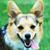 Lily Cita's profile image