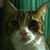 Roseanne Latimer's profile image
