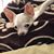 Kim Schramm's profile image