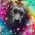 Samantha Findley's profile image